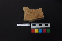 陶片藏品圖，第2張