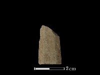 矛鏃形器藏品圖，第2張