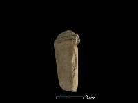 矛鏃形器藏品圖，第2張