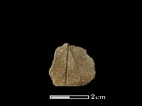 帶加工痕石材藏品圖，第2張