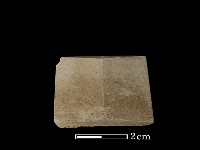 矛鏃形器藏品圖，第2張