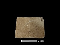 矛鏃形器藏品圖，第1張