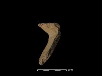 陶罐藏品圖，第1張