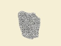 陶片藏品圖，第2張