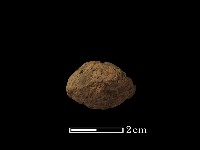 陶紡輪藏品圖，第2張