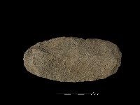 打製石刀藏品圖，第2張