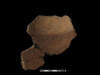 陶罐藏品圖，第4張