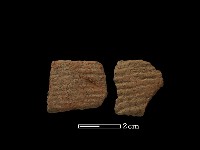 陶片藏品圖，第2張