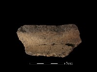 陶罐藏品圖，第2張