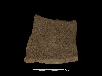 磨製石器藏品圖，第1張