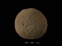 石托藏品圖，第2張