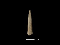 矛鏃形器藏品圖，第1張