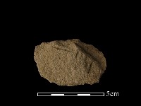 斧鋤形器藏品圖，第2張