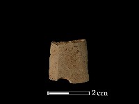 矛鏃形器藏品圖，第1張