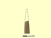 矛鏃形器藏品圖，第2張