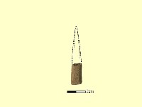 矛鏃形器藏品圖，第1張