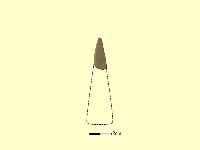 矛鏃形器藏品圖，第2張