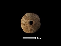 紡輪藏品圖，第2張