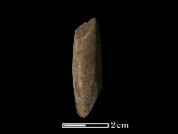 錛鑿形器藏品圖，第2張