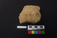 陶片藏品圖，第1張