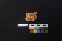 陶片藏品圖，第1張