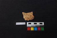 陶片藏品圖，第2張