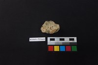 陶片藏品圖，第2張