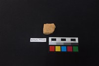 陶片藏品圖，第1張