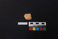 陶片藏品圖，第2張