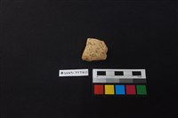 陶片藏品圖，第1張