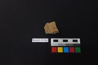 陶片藏品圖，第2張