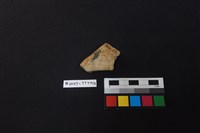 陶片藏品圖，第1張