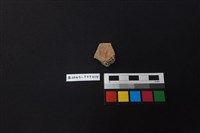 陶片藏品圖，第2張