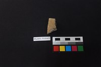 陶片藏品圖，第2張