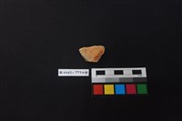 陶片藏品圖，第2張