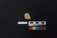 陶片藏品圖，第1張