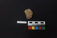 陶片藏品圖，第2張