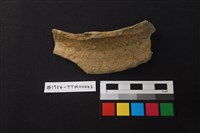 陶片藏品圖，第1張