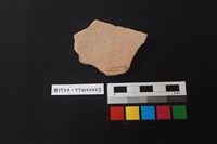 陶片藏品圖，第2張