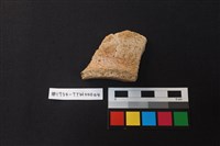 陶片藏品圖，第1張