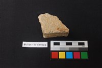 陶片藏品圖，第2張