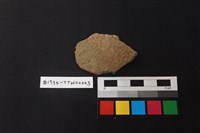 陶片藏品圖，第1張