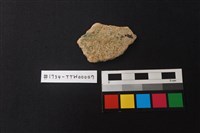 陶片藏品圖，第1張