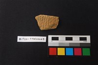 陶片藏品圖，第1張