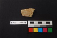 陶片藏品圖，第2張