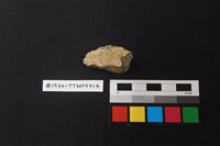 陶片藏品圖，第1張