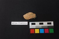 陶片藏品圖，第2張