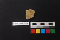 陶片藏品圖，第2張