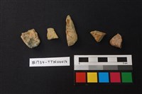 陶片藏品圖，第2張