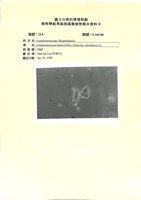 登錄號:UA0100藏品圖，第1張